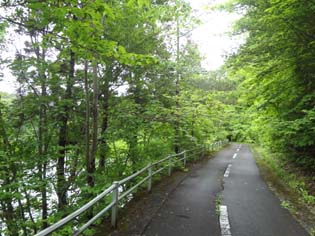 12061011.DSC00557.jpg補.jpg