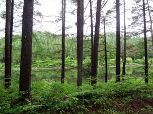 12061011.DSC00560.jpg補.jpg