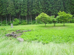 12061012.DSC00564.jpg補.jpg