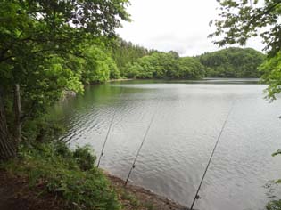 12061012.DSC00567.jpg補.jpg