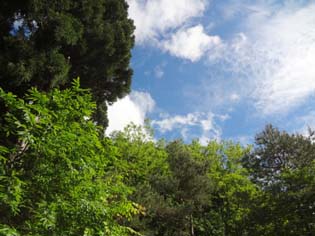 12061015.DSC00595.jpg補.jpg